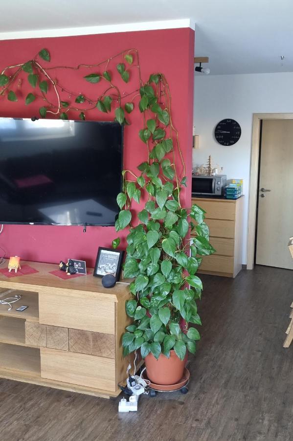 Ferienwohnung Bergidyll Schwarzenberg  Bagian luar foto