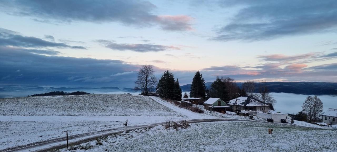 Ferienwohnung Bergidyll Schwarzenberg  Bagian luar foto
